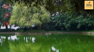 Рассказ мужчины | Измена жены. Завела любовника на работе. Жестокая месть мужа. Реальная история