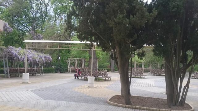 08: Летний театр и глициния