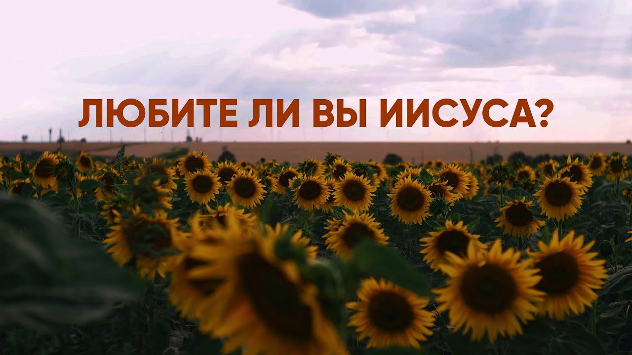 Любите ли вы Иисуса? смотреть онлайн