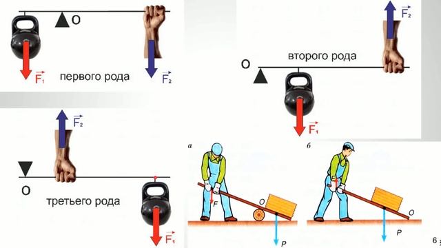 Механика - Статика. Условия равновесия тел v1 смотреть онлайн