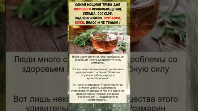 самая полезная трава! Важно знать! смотреть онлайн