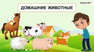 Урок "Домашние животные и их детеныши"