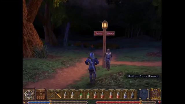 Ultima IX - 19 - Вдоль по бережку, или Туда и обратно смотреть онлайн