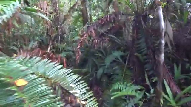 Промо-видео Южная Америка. смотреть онлайн