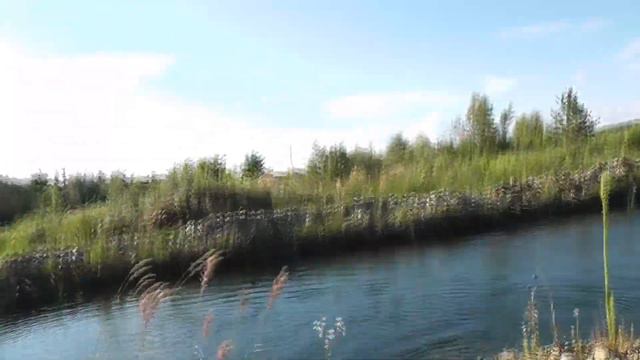 Новый тренинг для Питбуля,прыгучий Рич смотреть онлайн