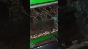 отзыв котел ВСКЗ 24 комфорт