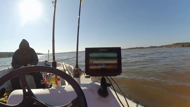 Открытие лодочного сезона 2020,что рисует эхолот, что это за рыба ? смотреть онлайн