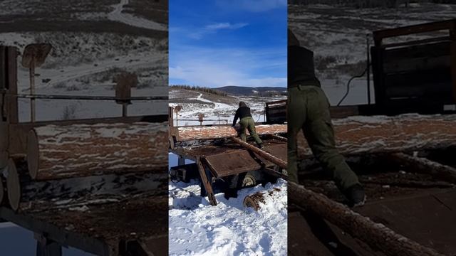 погрузка брёвен 4.5 метра на урал 4320 в ручную смотреть онлайн