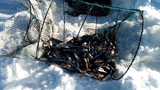 Проверка снастей на озере . смотреть онлайн