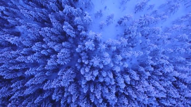 "В сиреневых сумерках" смотреть онлайн