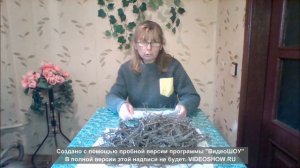 Лапчатка белая и её лечебные свойства