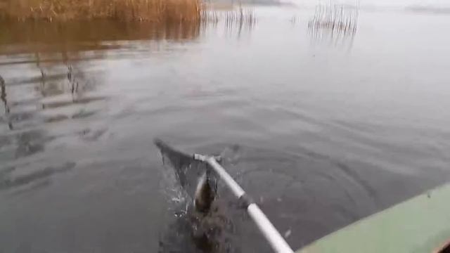 щука смотреть онлайн