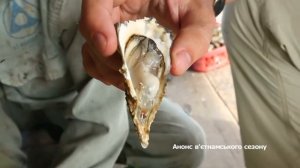 ДМИТРИЙ КОМАРОВ – ВСЯ ПРАВДА О ПУТЕШЕСТВЕННИКЕ. МИР НАИЗНАНКУ. ТОЛЬКО ФАКТЫ!