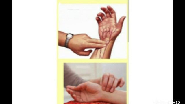 Частота серцевих скорочень (вимірювання ЧСС)