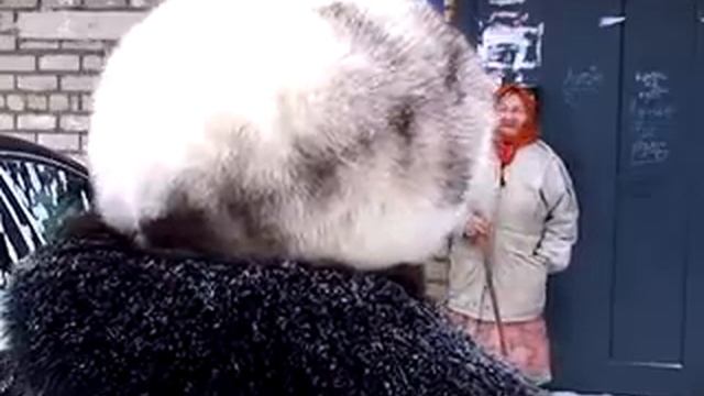 ЖИТЕЛЬНИЦА НЕФТЕКАМСКА ОСТАЛАСЬ ОДНА В 80 ЛЕТ смотреть онлайн