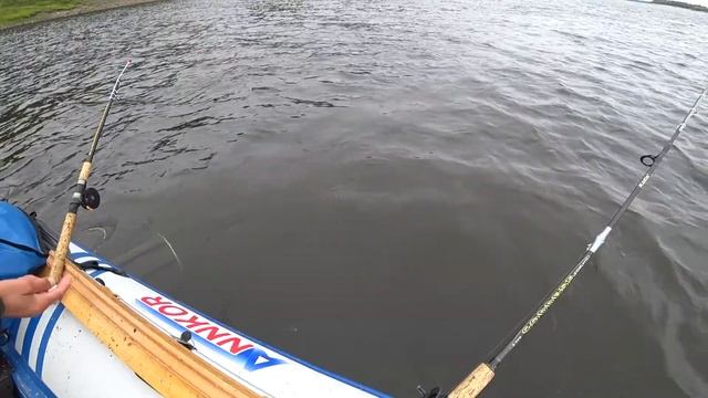 Думал что поклевок не будет . Проверка рыбинспекции. Рыбалка на бортовые удочки смотреть онлайн