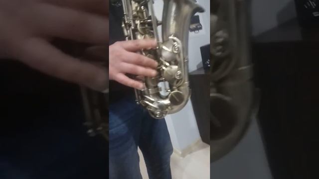 Потрясающее исполнение на профессиональном саксофоне! смотреть онлайн
