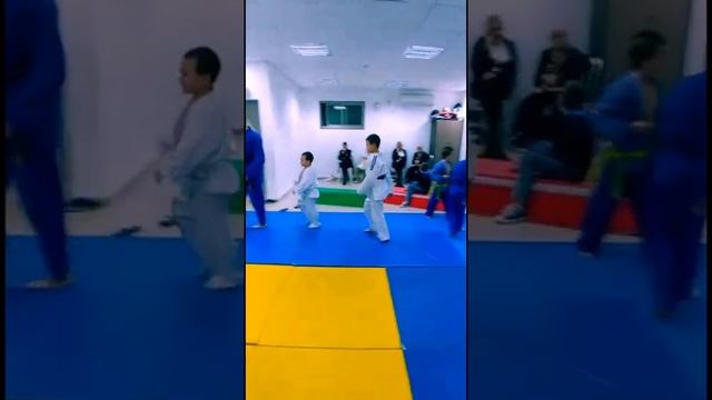 Акула Нацрат Илита 2017Shark Nazareth Illit. כריש נצרת עילית