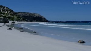 Материк Австралия: Самый маленький континент на Планете Земля | Интересные факты про Австралию