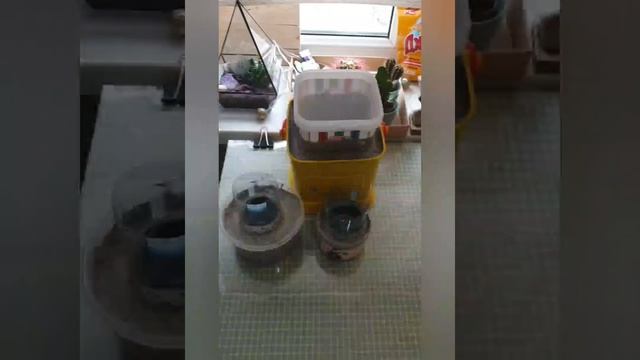 Бетонные кашпо своими руками! Тренд в стиле лофт смотреть онлайн