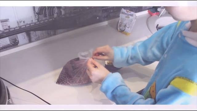 МОЁ ШКОЛЬНОЕ УТРО// My School Morning смотреть онлайн