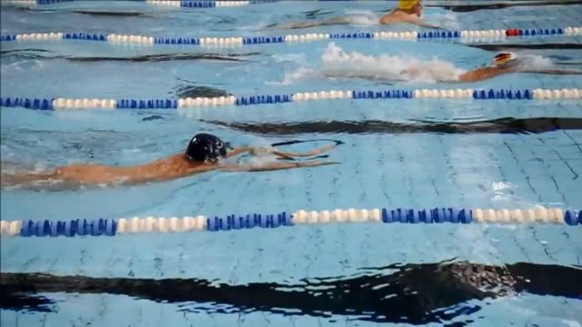Pelados Fazem Campeonato De Natação