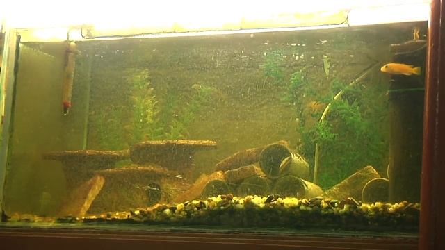 Необычное хобби майора полиции Дмитрия  Лепшина