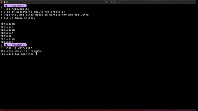 Bash Tips and Ticks with ZSH Series - Part 1 смотреть онлайн