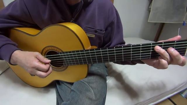 The End Of The World (The Carpenters ver.) - Skeeter Davis (guitar solo) смотреть онлайн