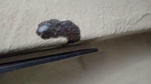 Установка фаркопа на Гранту