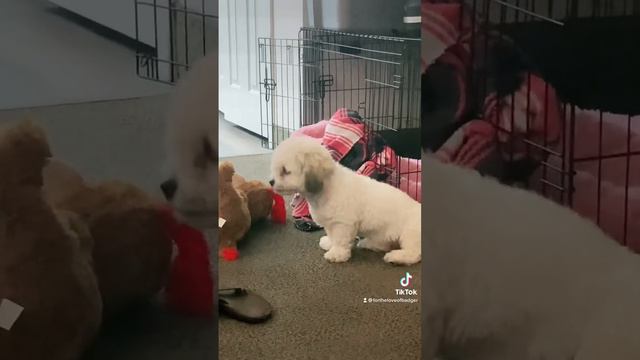 Do you think I’m CUTE?!? смотреть онлайн