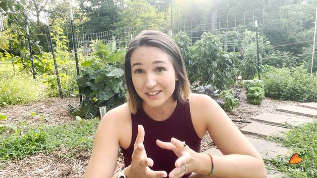 I've got a big announcement for you!! смотреть онлайн