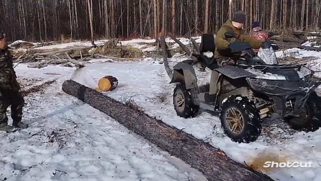 В тайгу за деловым лесом смотреть онлайн