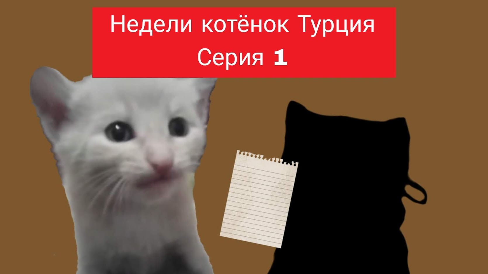 Недели котёнок Турция Серия 1 смотреть онлайн