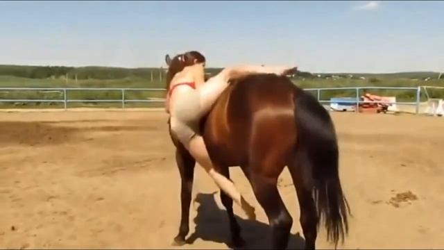 Девушка и лошадь, потрясающе красивое видео! смотреть онлайн