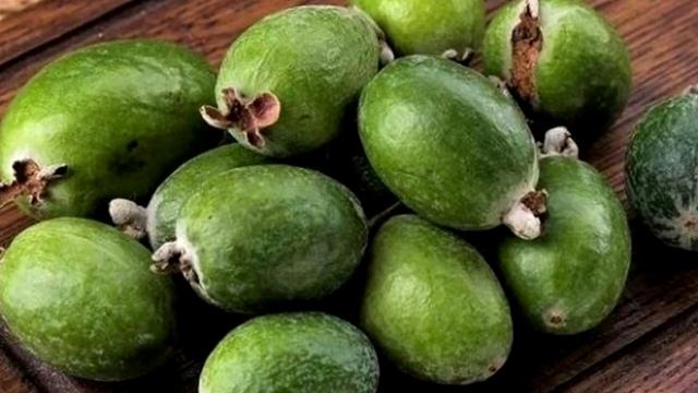 Плоды фейхоа полезны для профилактики и лечения...Химический состав плода фейхоа. смотреть онлайн