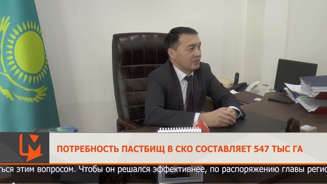 Потребность пастбищ в СКО составляет 547 тыс га смотреть онлайн