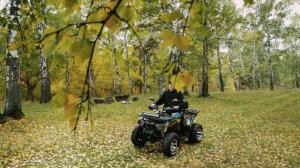 Обзор на квадроцикл MotoLand Wild Track 200 X Pro.