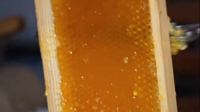 КАКОЙ МЕД САМЫЙ ПОЛЕЗНЫЙ. И ВКУСНО И ПОЛЕЗНО! смотреть онлайн