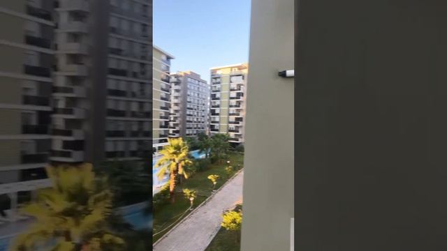 Утро в Турции #отдых #путешествие #relax #турция #море #природа #бассейн #утродоброе #турецкийкофе смотреть онлайн