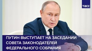 Путин выступает на заседании Совета законодателей Федерального собрания
