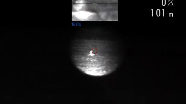 Пульсар Ультра LRF и ИК лазерный осветитель IR-530-850 digital 2 смотреть онлайн