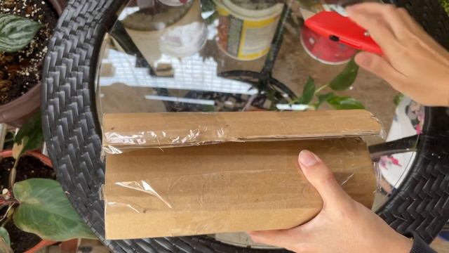 Unboxing Syngonium Pink Splash смотреть онлайн