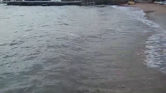 Отель Аква Фан (Aqua Fun 3*) Хургада, море смотреть онлайн