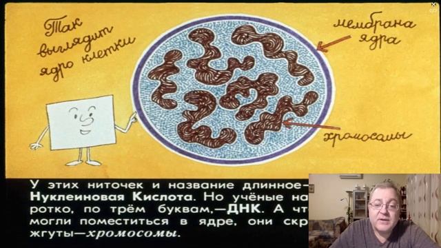 Сказка 119 Детки из клетки смотреть онлайн