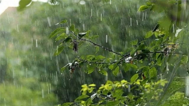 Relax music Waltz of rain смотреть онлайн