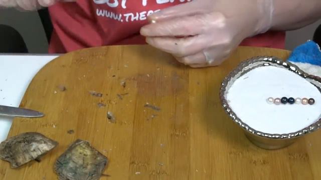 Amazing Pearls Revealed!?! смотреть онлайн