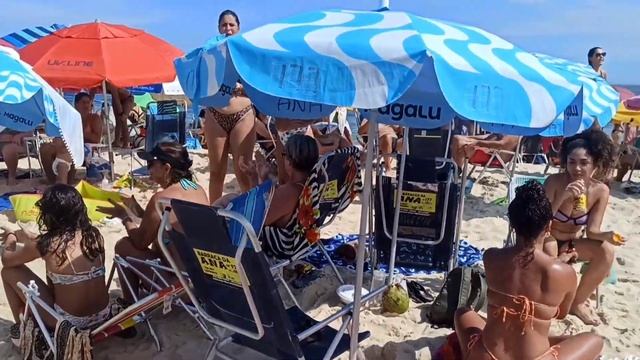 Растительный мир Бразилии. 25 часть. Палаквиум. Плюмерия. Фавелы, пляж. смотреть онлайн