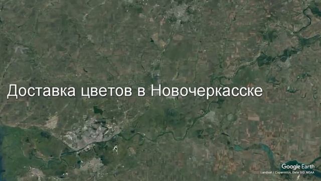 Доставка цветов в Новочеркасске - Заказ букетов от компании Скорая подарочная помощь смотреть онлайн