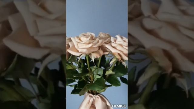 Букет роз Мента из холодного фарфора/мои работы смотреть онлайн